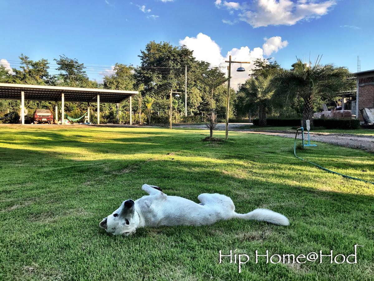 Hip Home At Hod Hot 외부 사진